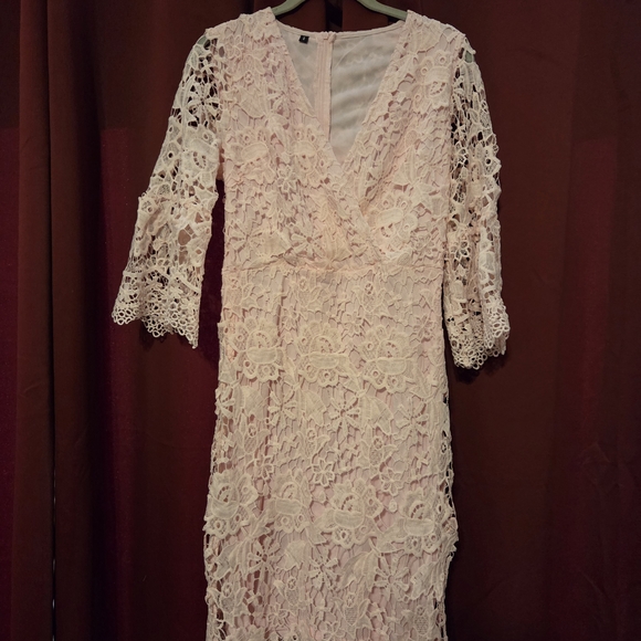 Elegant Lace Long Sleeve Dress in Blush - Picture 4 of 5